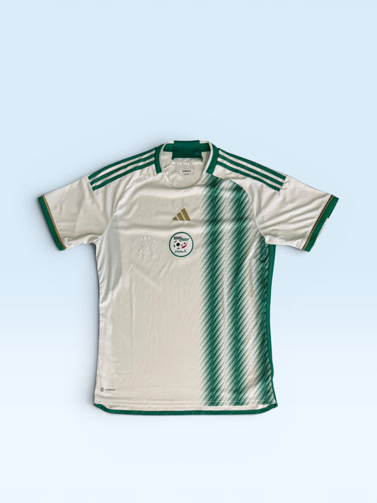 Algeria national team 2022-23 green and white home soccer jersey