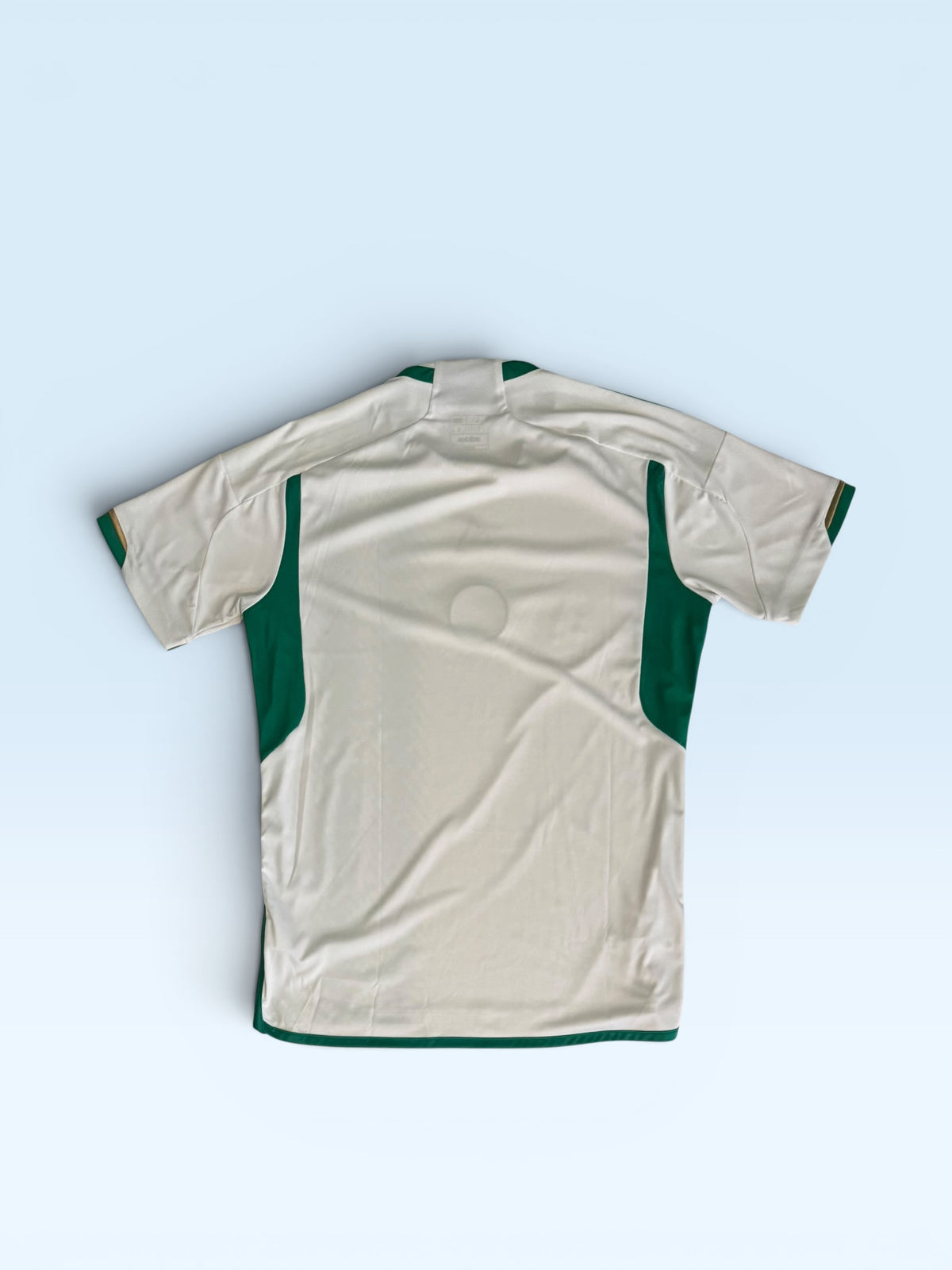 Algeria national team 2022-23 green and white home soccer jersey – photo 2