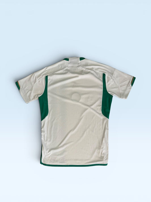 Algeria national team 2022-23 green and white home soccer jersey – photo 2